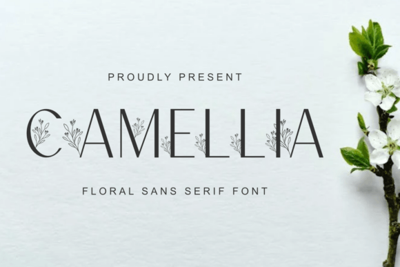 Camellia: The Floral Sans Serif Font That Feels Like a Craft